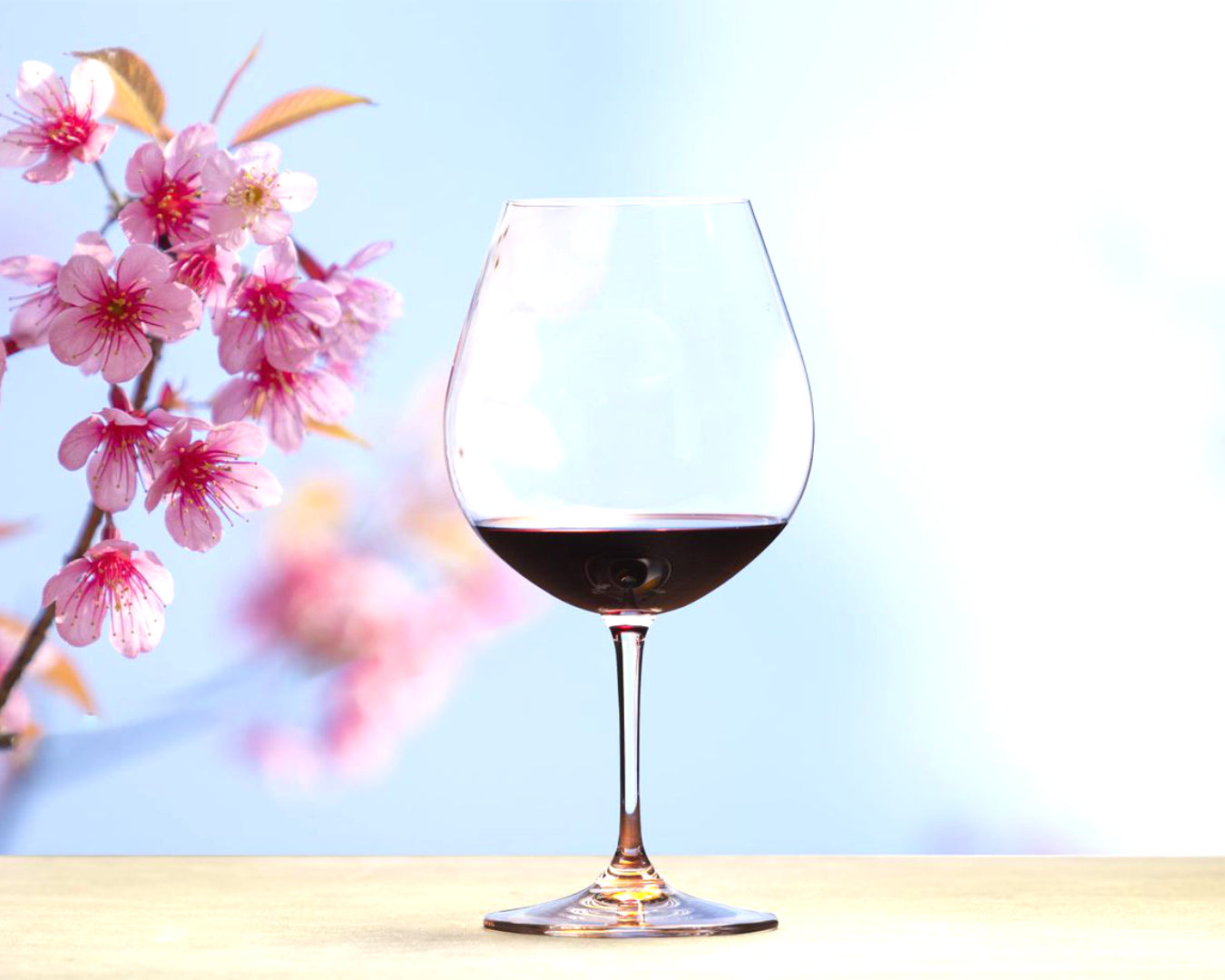 Spring Wines